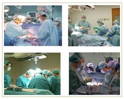 Slider image (6) Makeover Travel